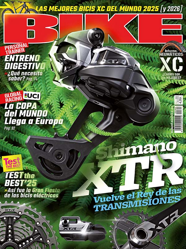 bike_393
