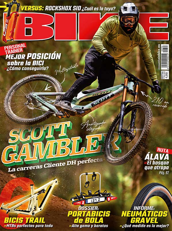 bike_396