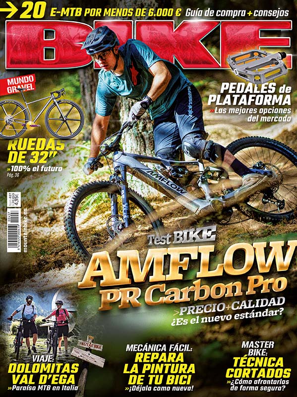 bike_407